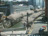 030406 002.jpg